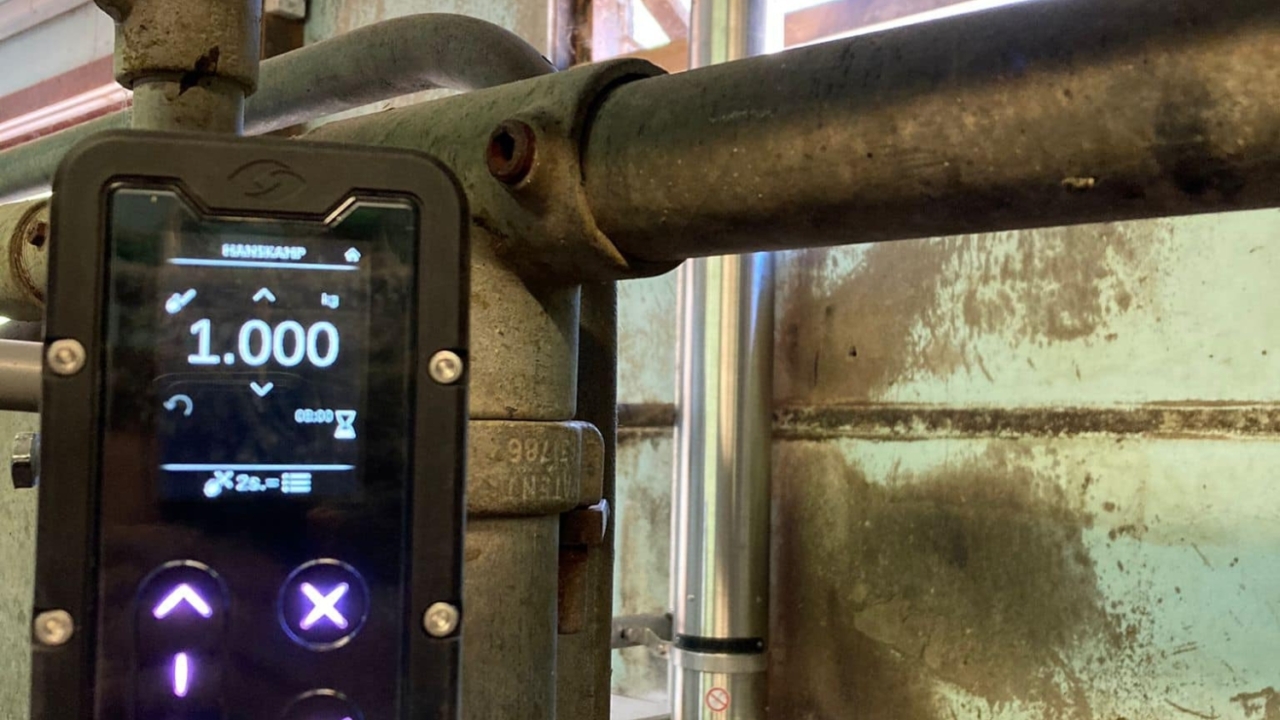 306864182 2263283887163340 4956841701980949383 n 306864182 2263283887163340 4956841701980949383 n