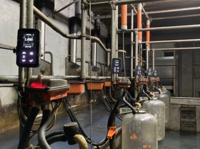 Manual feeding in milking parlour_ CP Manual feeding in milking parlour_ CP
