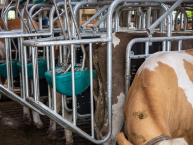 IMG 0107 2 min IMG 0107 2 min