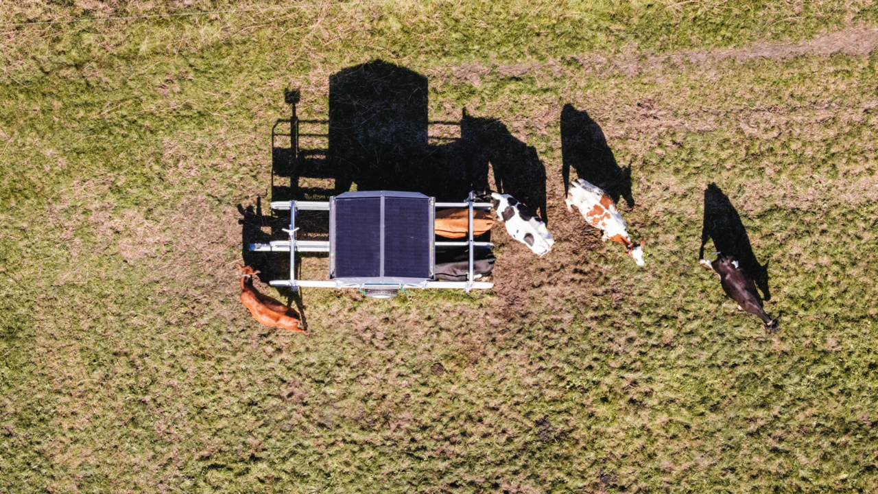 DJI 20250924203513 0098 D web