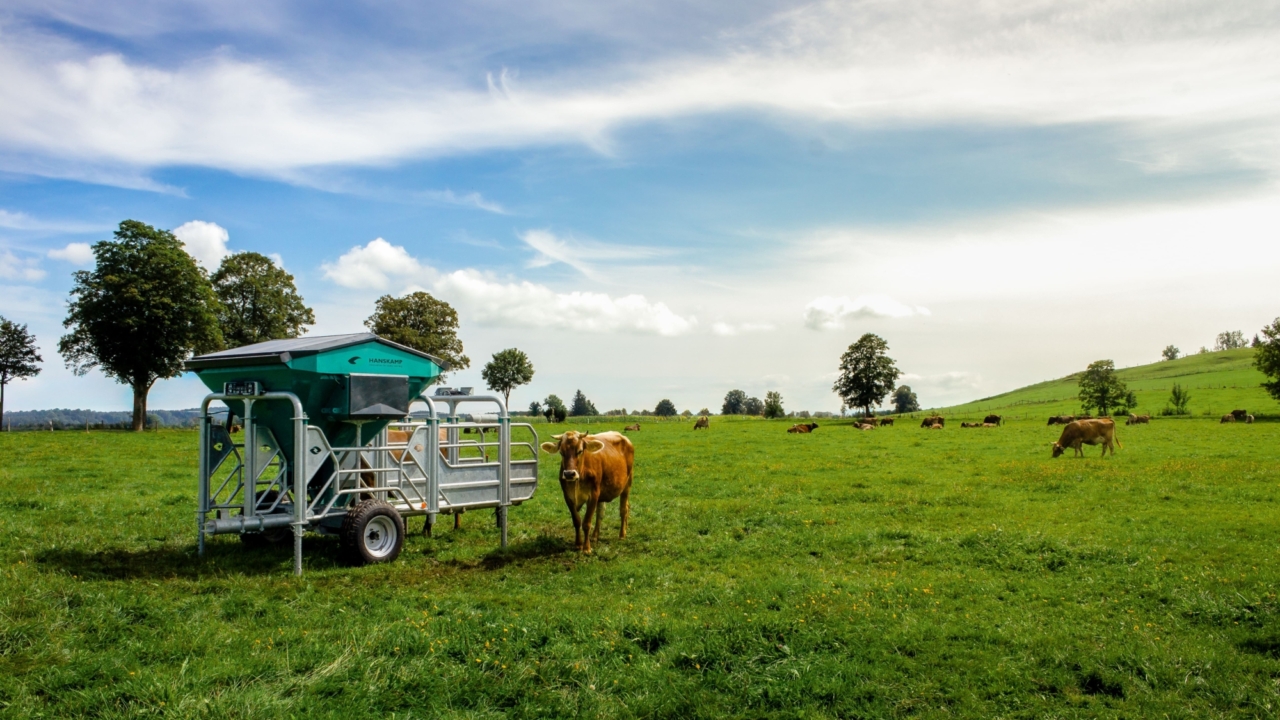 IMG 8678 edited3 HQ 1 min IMG 8678 edited3 HQ 1 min