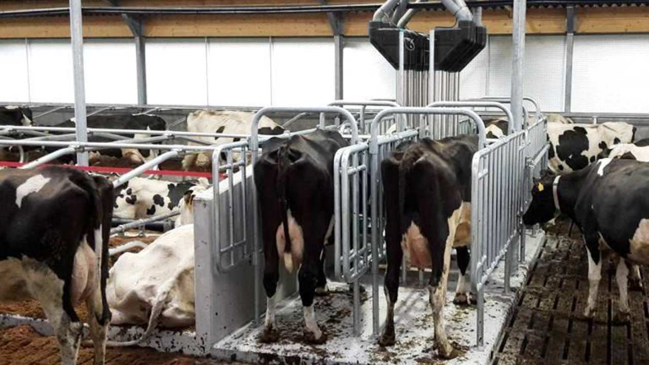 Feed Station Walk In 2 bewerkt