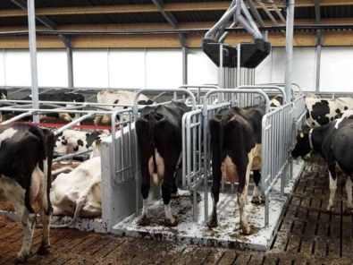 Feed Station Walk In 2 bewerkt Feed Station Walk In 2 bewerkt