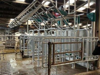 Out of Parlour Feeding FS walk in with Lport Out of Parlour Feeding FS walk in with Lport