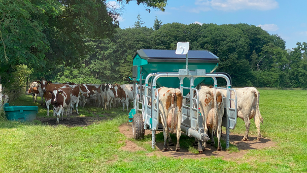 Feed Station Mobile 3 mail Feed Station Mobile 3 mail