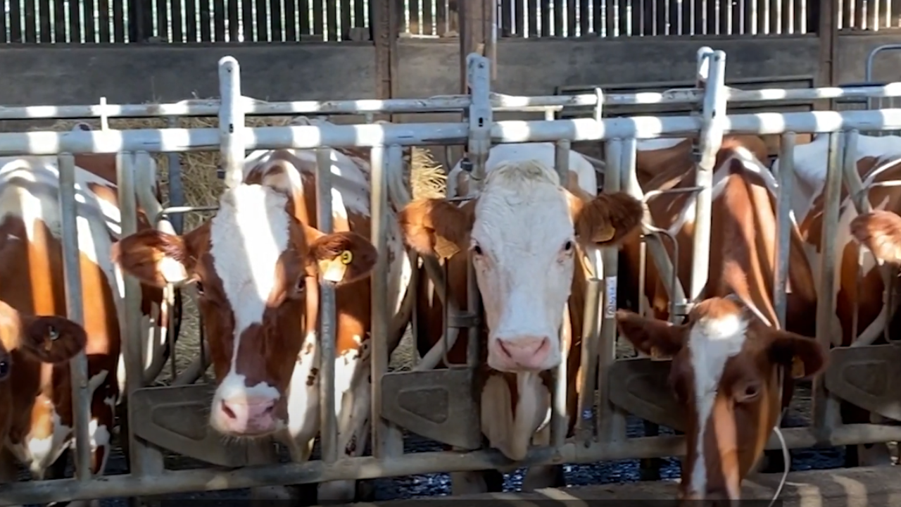 Capture décran 2024 01 18 111047