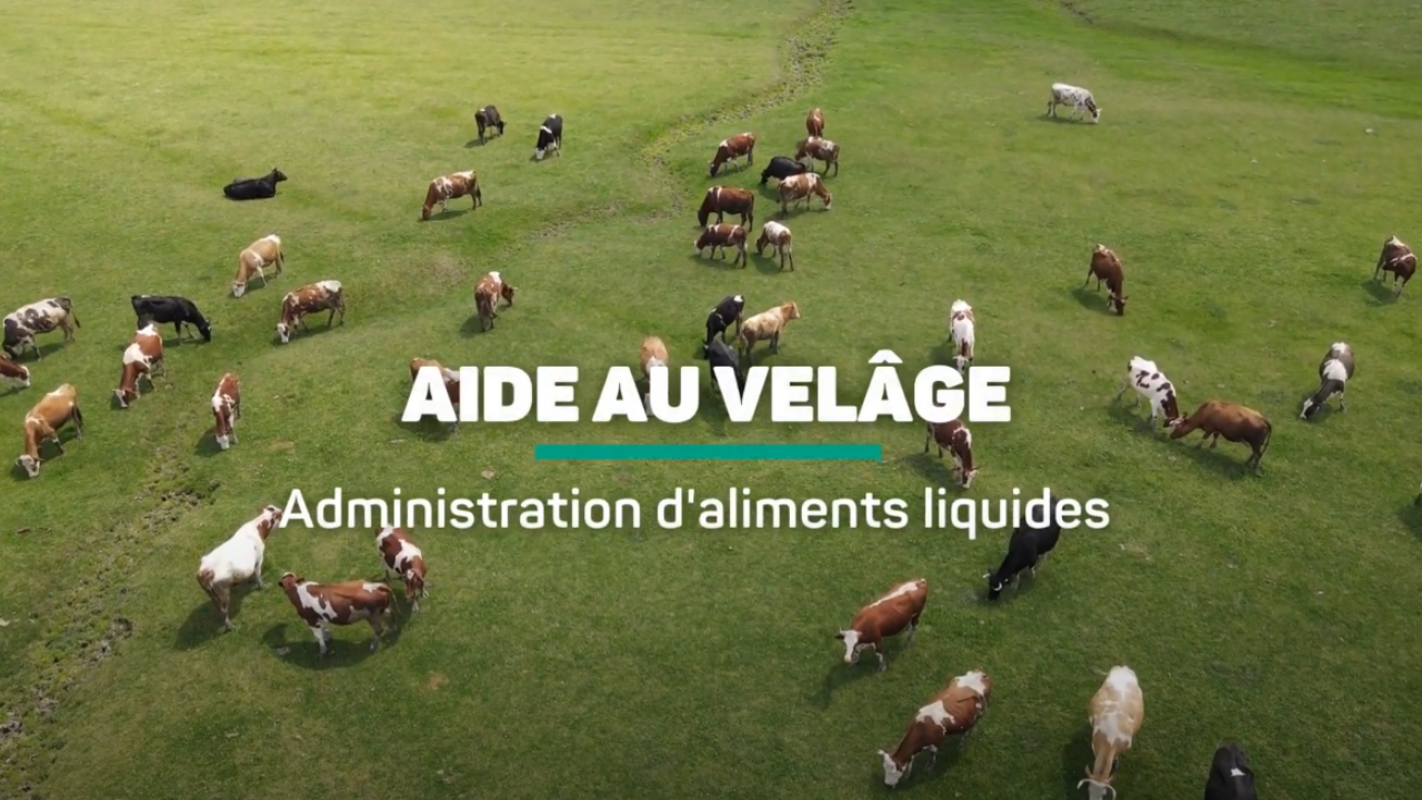 Capture décran 2024 01 05 143538 Capture décran 2024 01 05 143538