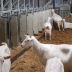 Capture décran 2024 11 19 162956