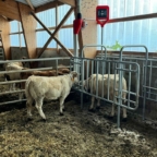 Whats App Image 2023 09 22 at 09 50 21 14 002