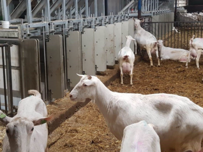 Capture décran 2024 11 19 162956 Capture décran 2024 11 19 162956