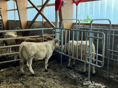 Whats App Image 2023 09 22 at 09 50 21 14 002 Whats App Image 2023 09 22 at 09 50 21 14 002