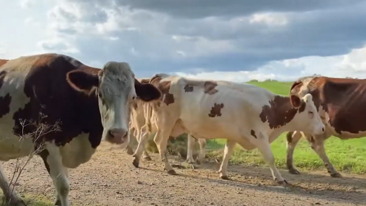 Capture décran 2024 01 18 102935