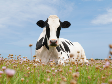 Ontwerp zonder titel 14