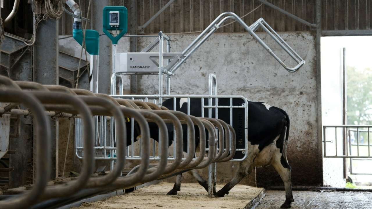 HK l Port DSC04379 HQ 1 HK l Port DSC04379 HQ 1