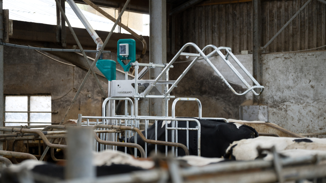 HK l Port DSC04426 HQ 1