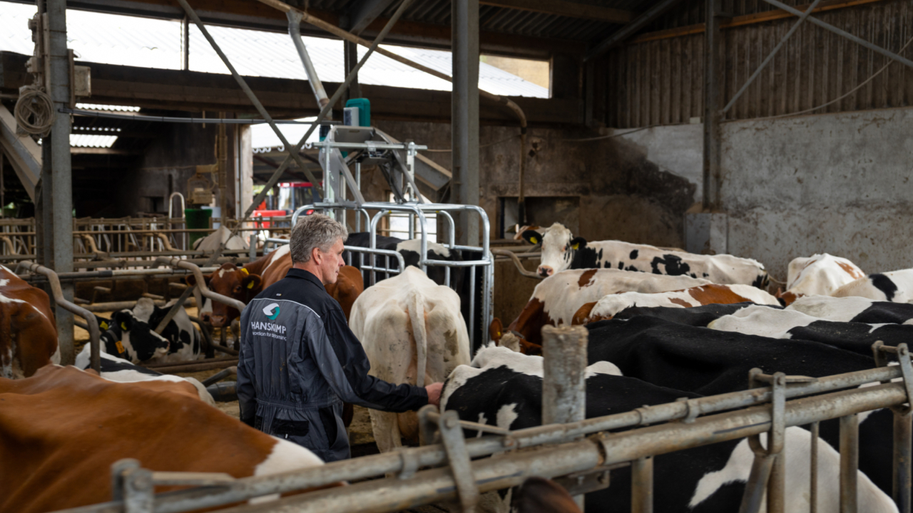 HK l Port DSC04865 HQ 1