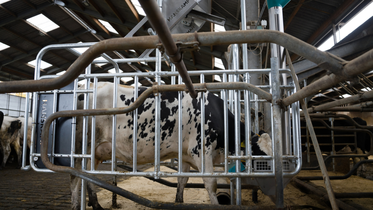 Post woensdag 30 oktober 2024