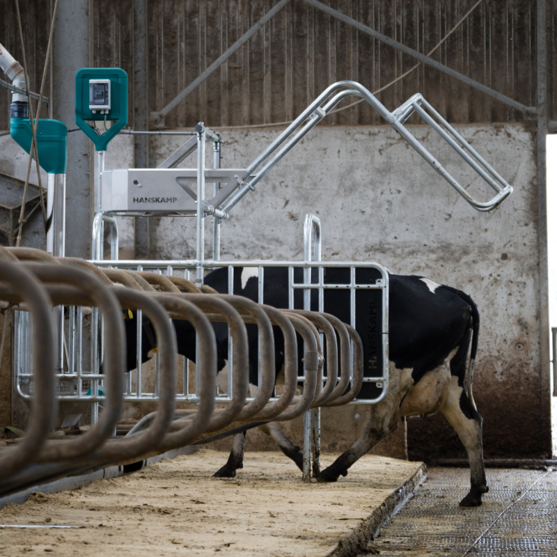 HK l Port DSC04379 HQ 1