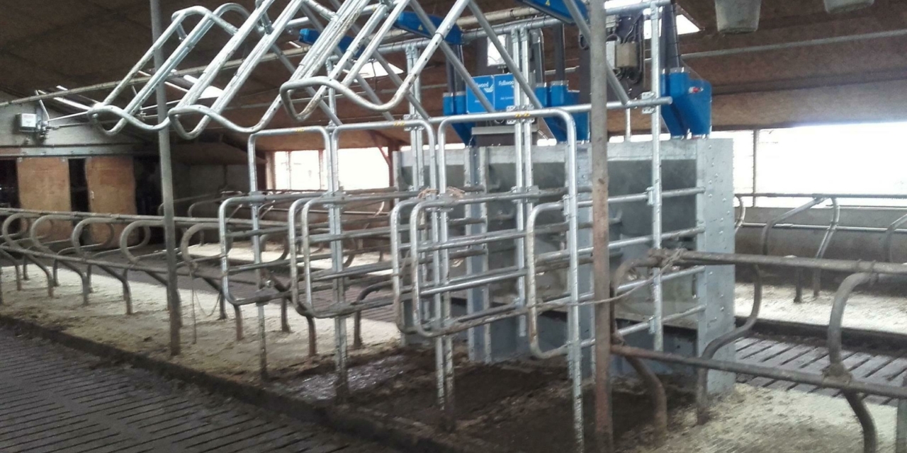 Hanskamp | L'port closing gate, protecting the eating cow in the…
