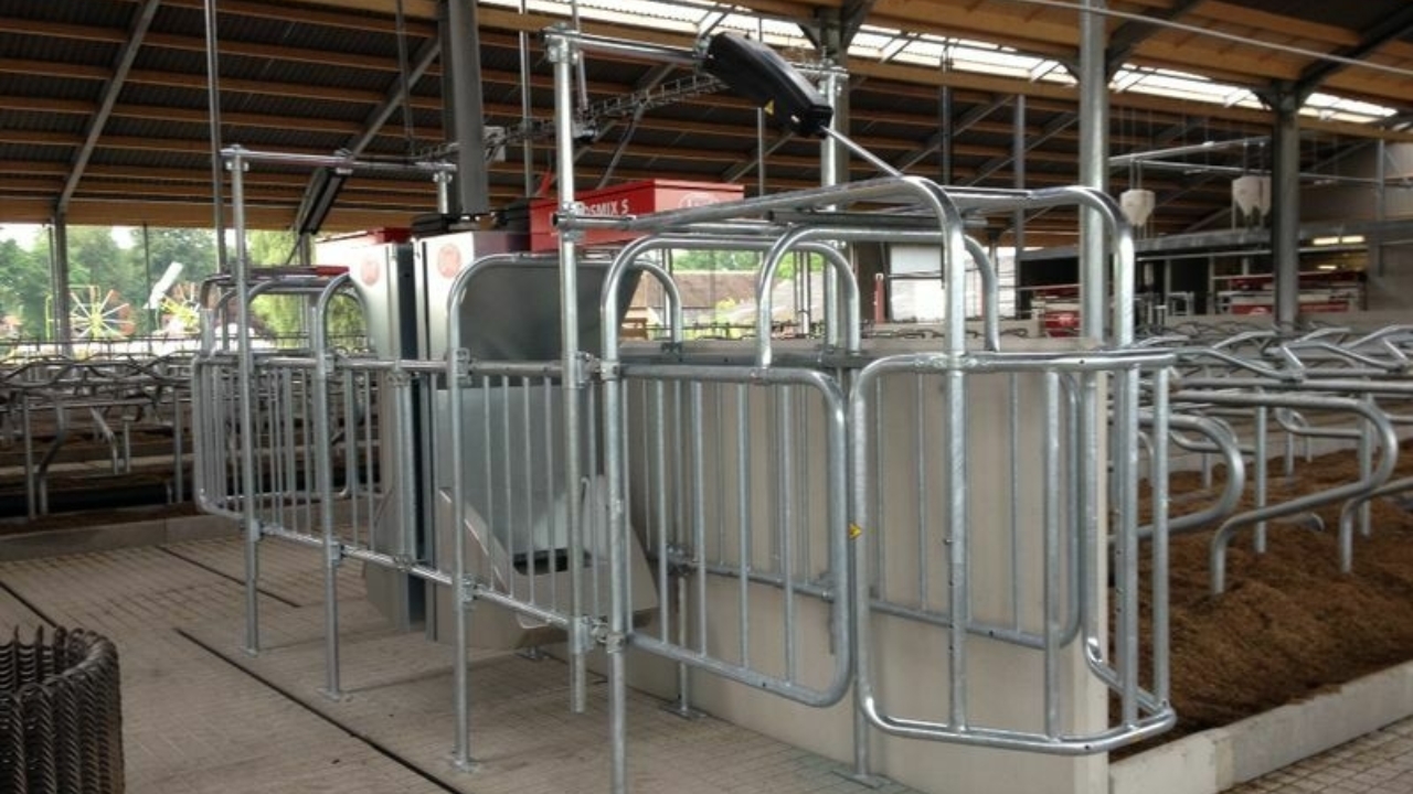 Lport Lely Cosmix Lport Lely Cosmix