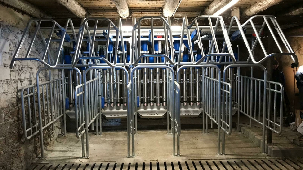 Whats App Image 2019 02 13 at 16 57 04 Whats App Image 2019 02 13 at 16 57 04