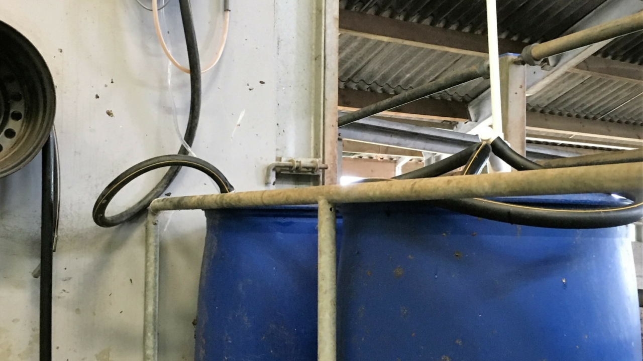 MultiDos HighSpeed in de melkcarrousel MultiDos HighSpeed in de melkcarrousel