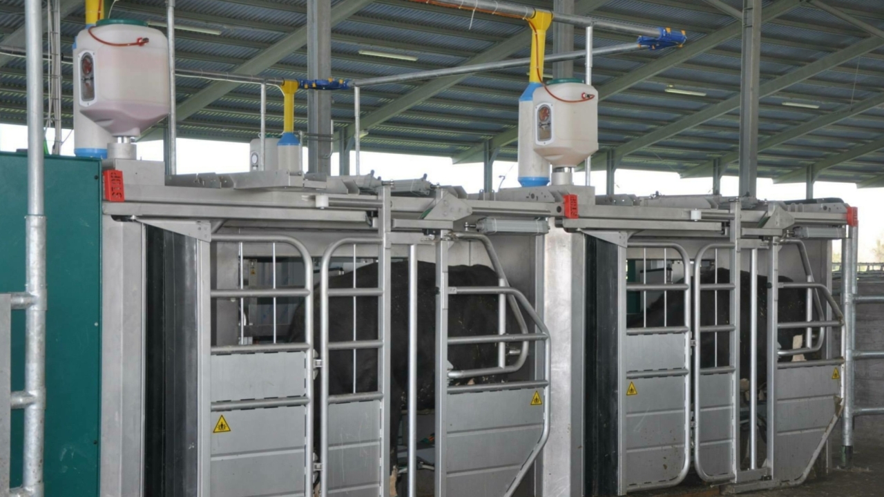 10953192 934543009929835 5947820115879557923 o