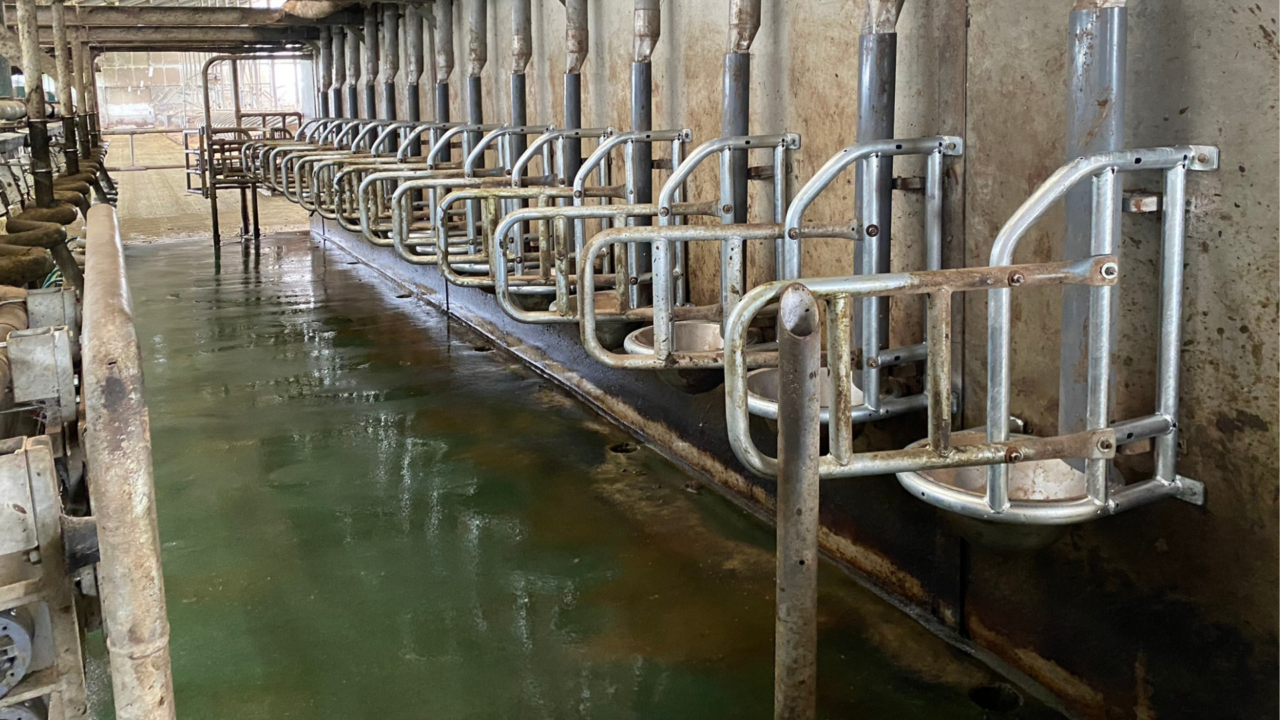 Multi Frames 1 Multi Frames 1