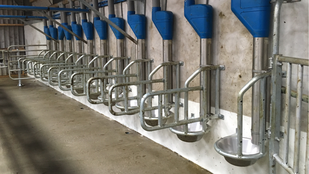 Pipe Feeders in melkstal Pipe Feeders in melkstal