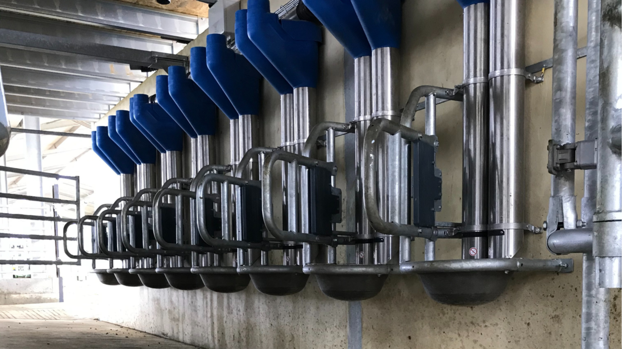 Nog keer blauwe Nog keer blauwe