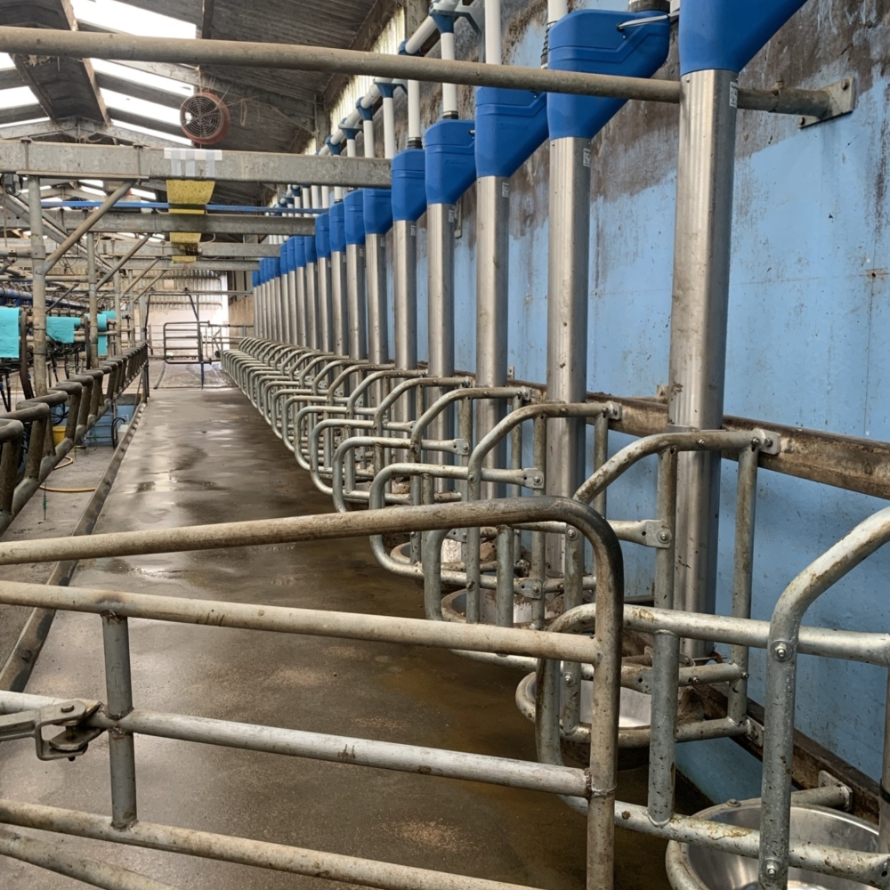 Blue PipeFeeders with MultiFrames