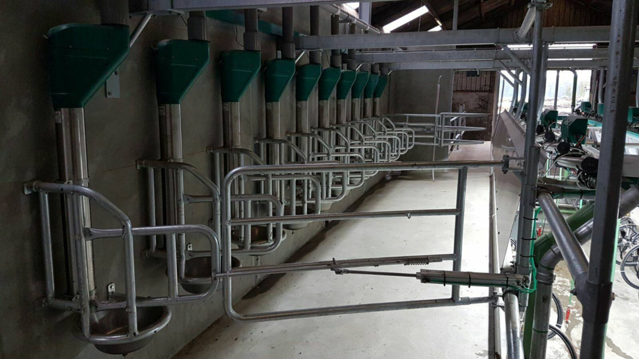 Pipe Feeders in melkstal Pipe Feeders in melkstal