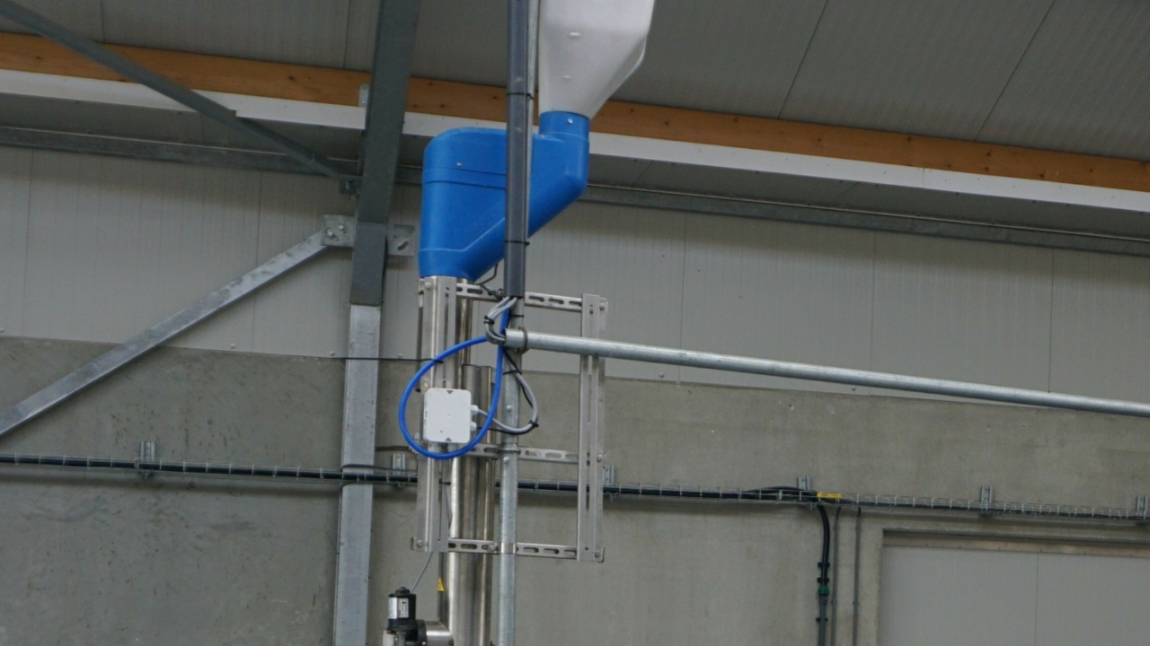 DSC06383 Bijgesneden