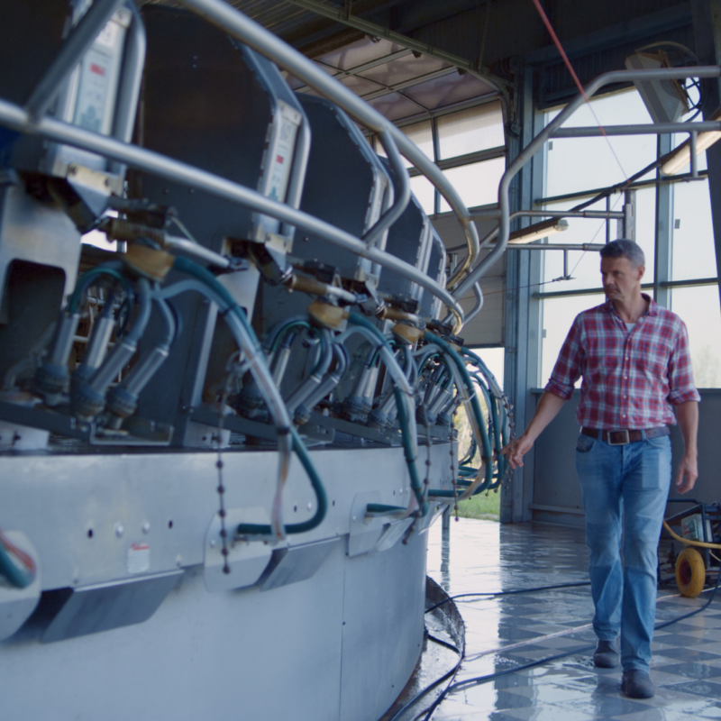 Boer bij de melk carrousel Boer bij de melk carrousel