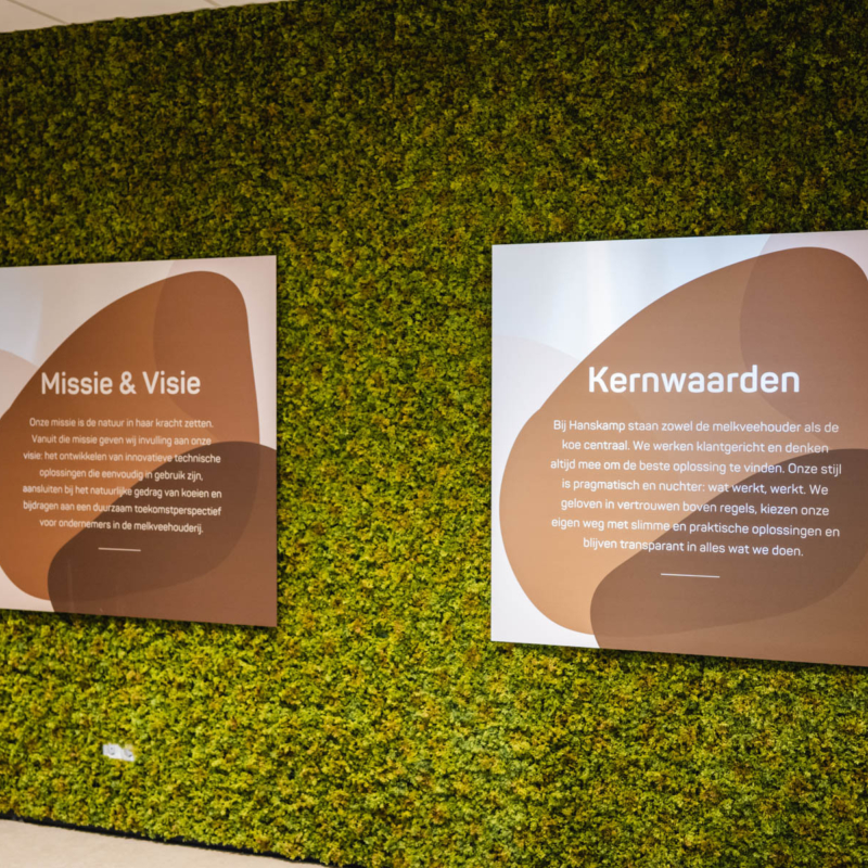 AH103918 web AH103918 web