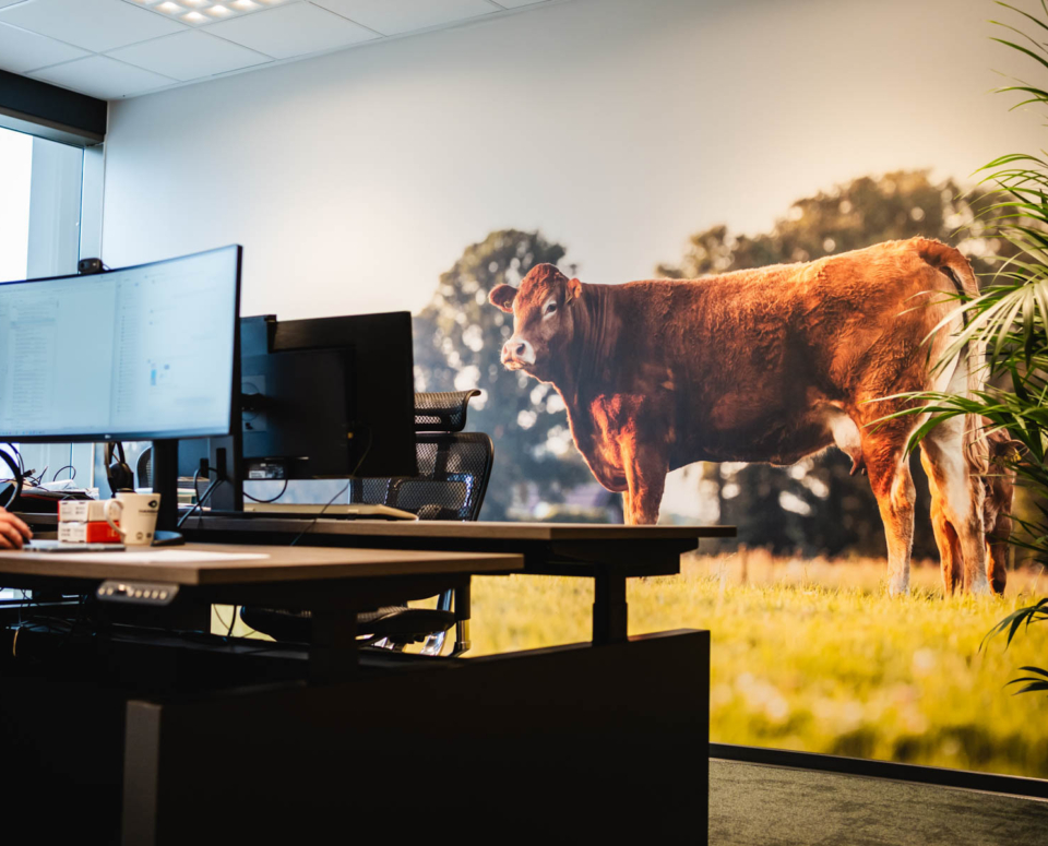 AH104075 web AH104075 web