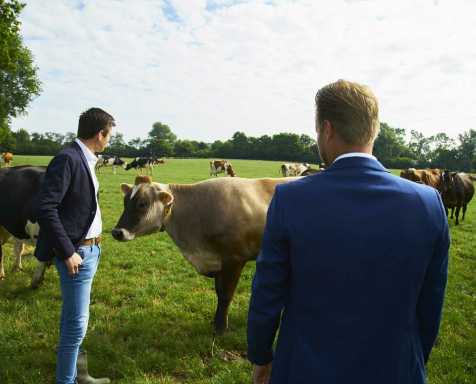 Hanskamp Sfeer LR 64