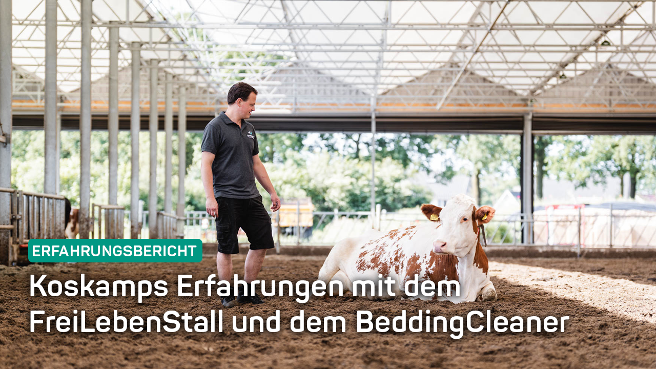 Vrijlevenstalthumbnail DE