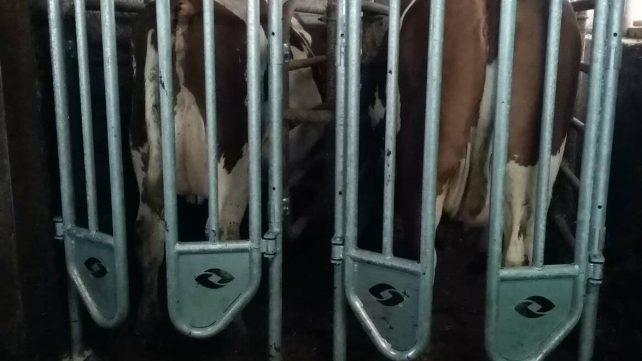 130187680 189240546171820 2882737410600738481 n 130187680 189240546171820 2882737410600738481 n