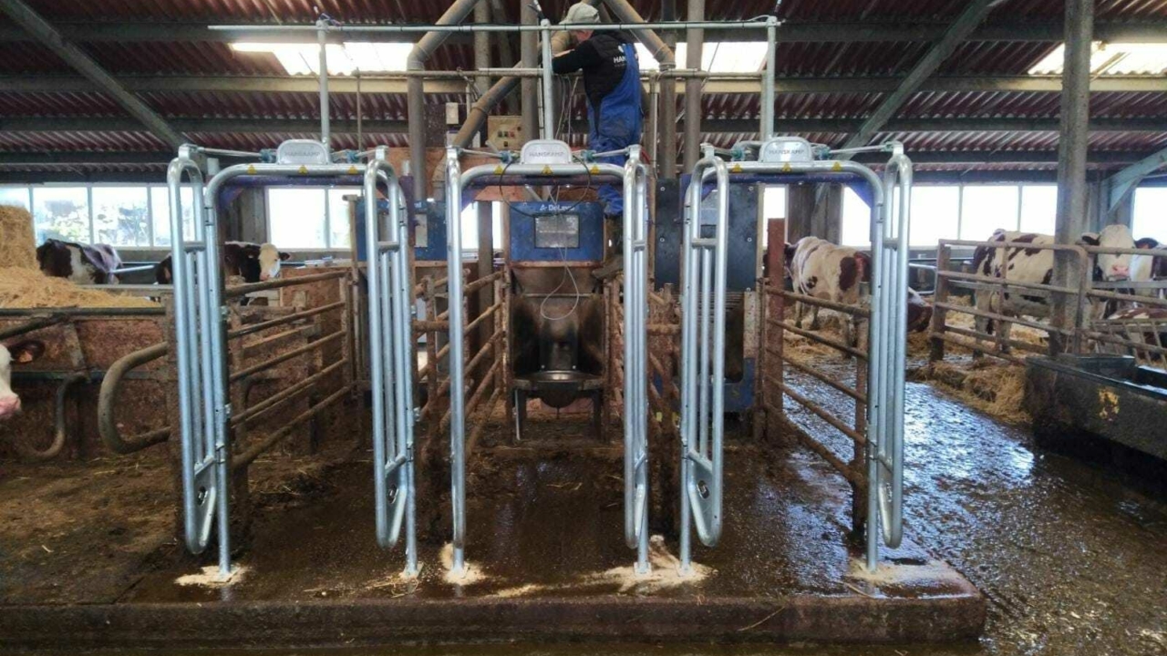 403731875 662562476067471 8928631542871638747 n 403731875 662562476067471 8928631542871638747 n