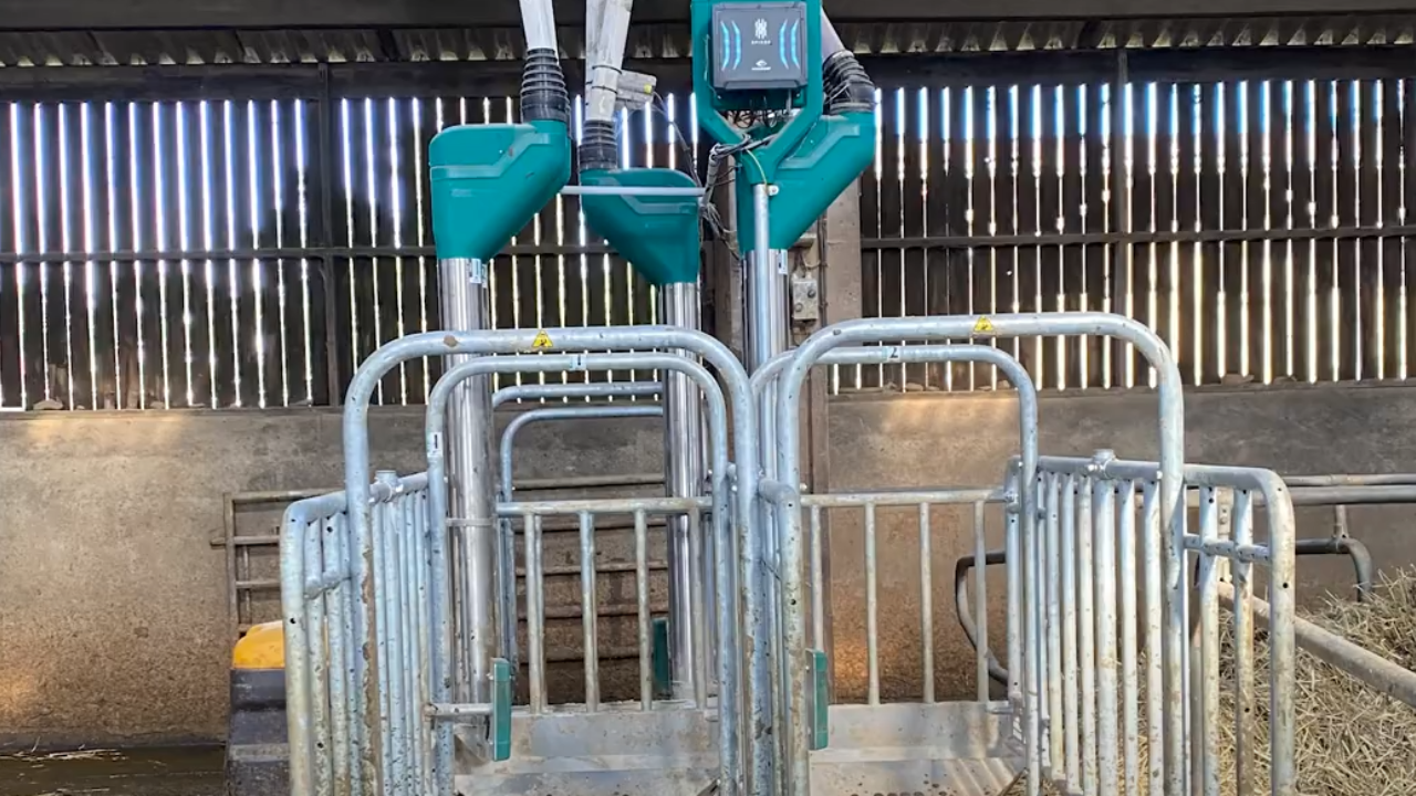 Capture décran 2023 12 19 155744 Capture décran 2023 12 19 155744