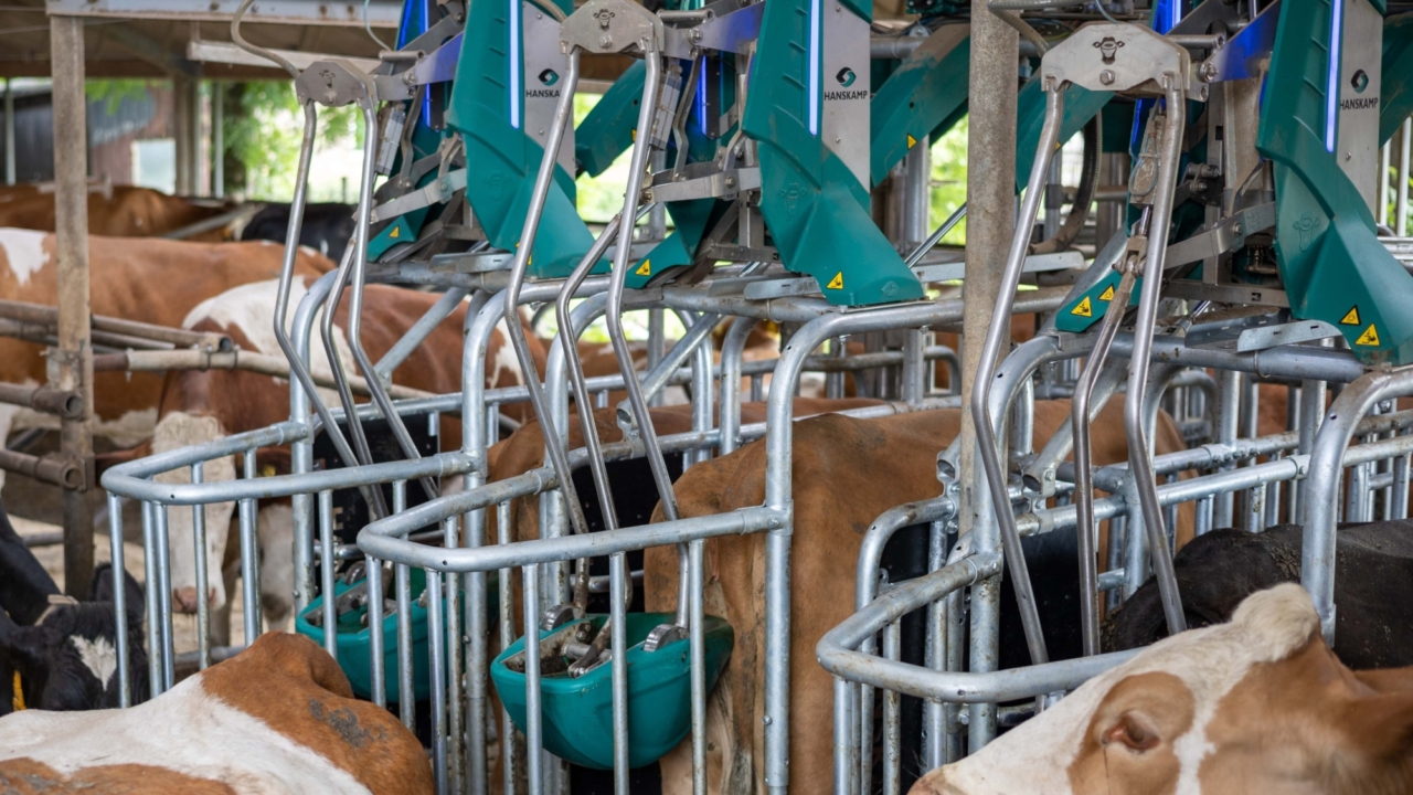 Cowtoirlet subsidie noord brabant Cowtoirlet subsidie noord brabant