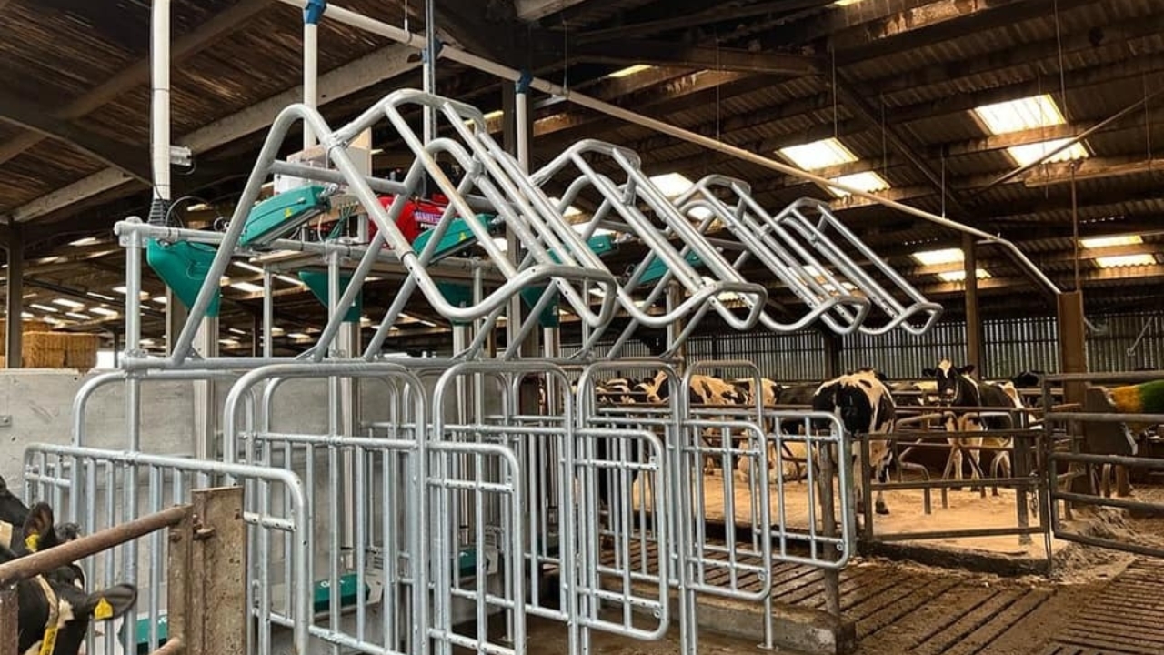 Hanskamp Feed Station Walk in with Lport Hanskamp Feed Station Walk in with Lport