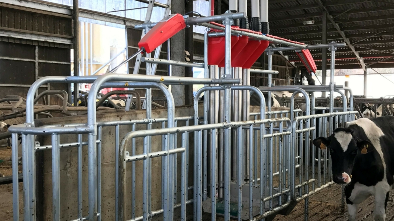 Rot futterstation Rot futterstation