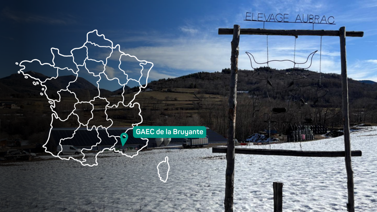 Site internet Hanskamp 9