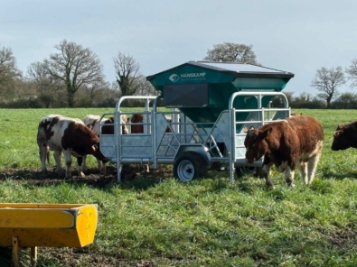 650833439 1363816249095039 875440341466136655 n
