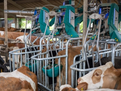 Cowtoilet subsidie noord brabant