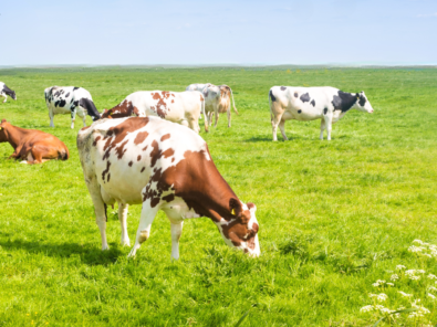 Fermeture exceptionnelle 3 Fermeture exceptionnelle 3