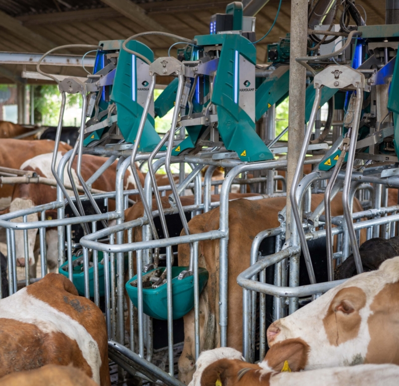 Cowtoilet subsidie noord brabant Cowtoilet subsidie noord brabant