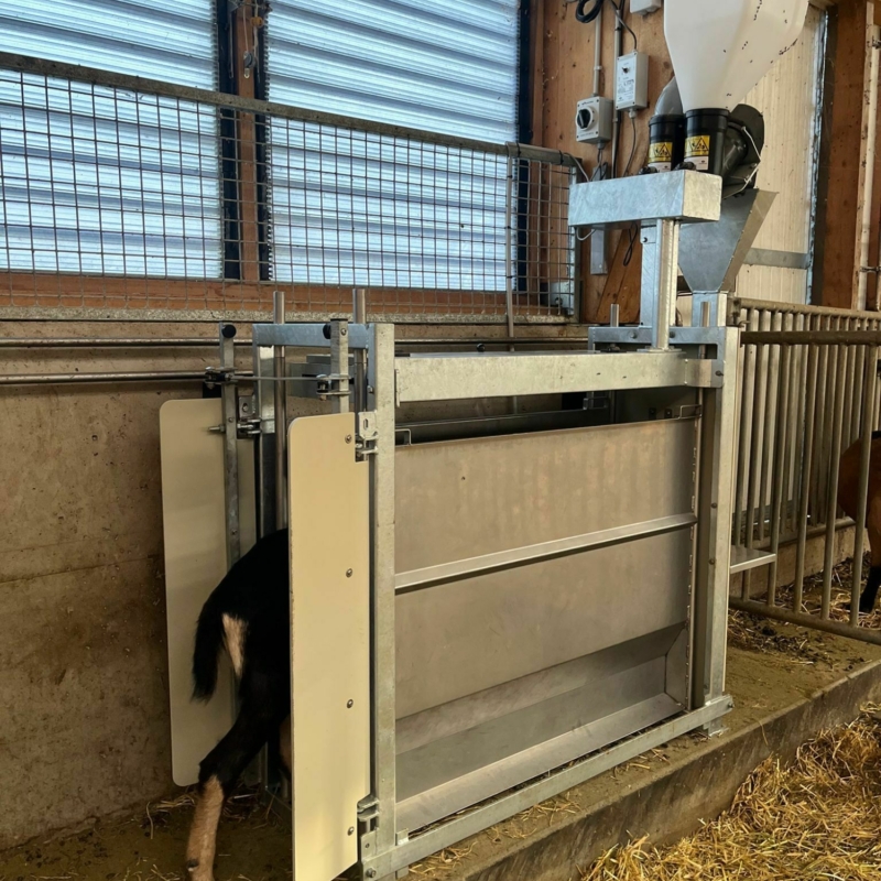 Capra Box Standard Capra Box Standard